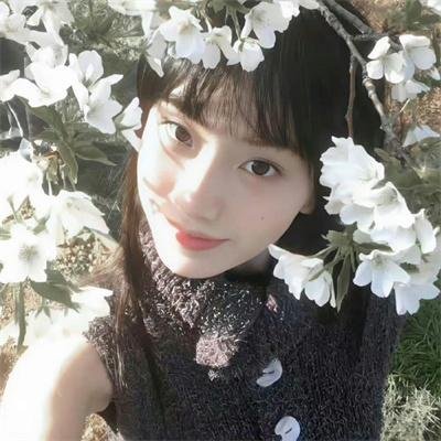 抓马侦探